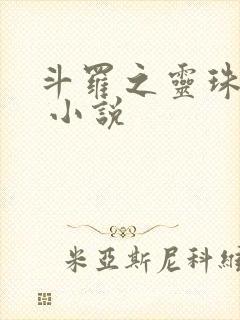 斗罗之灵珠神剑 小说