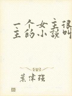 一个女主很多男主的小说叫什么