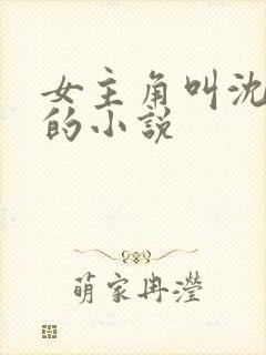 女主角叫沈清澜的小说