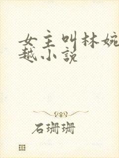 女主叫林婉婉穿越小说