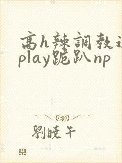 高h辣调教道具play跪趴np