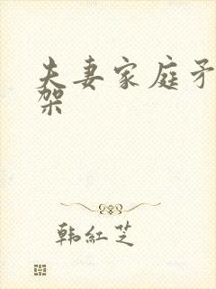 夫妻家庭矛盾吵架