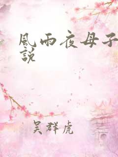 风雨夜母子情小说