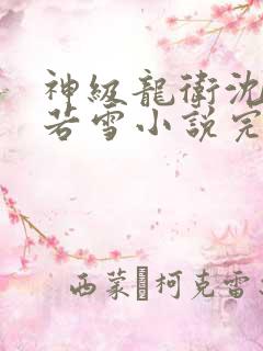 神级龙卫沈浪苏若雪小说完本