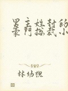 男主姓封的所有豪门总裁小说