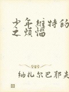 少年维特的烦恼之烦恼