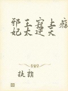 邪王宠上瘾,爱妃太逆天