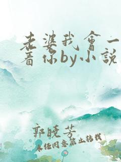 老婆我会一直缠着你by小说免费阅读