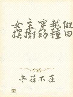 女主穿越做美食摆摊的种田文