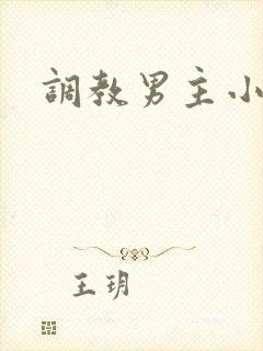 调教男主小说