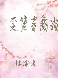 不明少年小说全文免费阅读笔趣阁