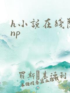 h小说在线阅读np