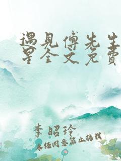 遇见傅先生叶繁星全文免费阅读贺