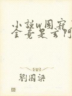 小说w团宠真千金竟是玄门大佬》