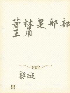 萧林是哪部小说主角