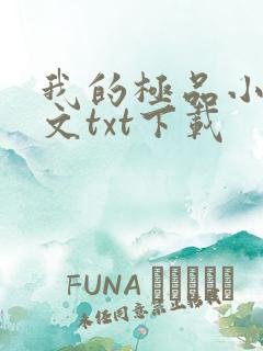 我的极品小姨全文txt下载