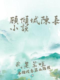 顾倾城陈长安的小说