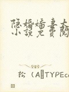 隐婚娇妻太迷人小说免费阅读