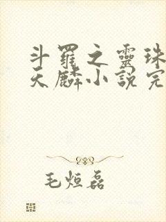 斗罗之灵珠神剑天麟小说完整版txt