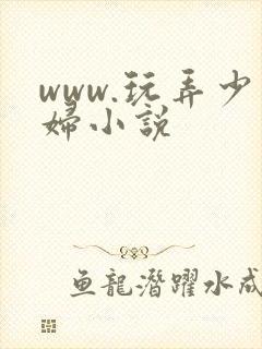 www.玩弄少妇小说