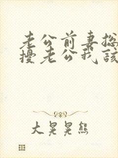 老公前妻总是骚扰老公我该怎么办