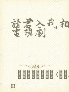 请君入我相思局电视剧