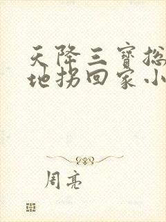 天降三宝总裁爹地拐回家小说