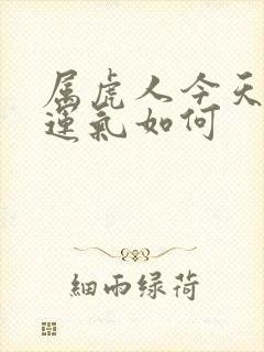 属虎人今天打牌运气如何