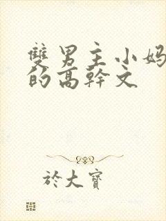 双男主小妈文学的高干文