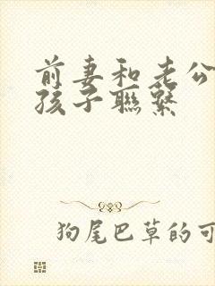 前妻和老公因为孩子联系