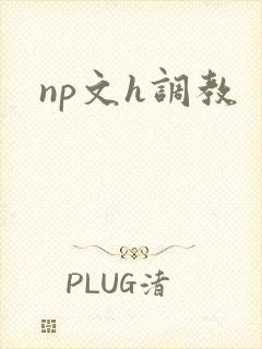 np文h调教