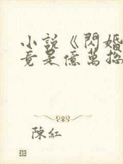 小说《闪婚老公竟是亿万总裁》