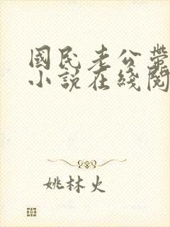 国民老公带回家小说在线阅读