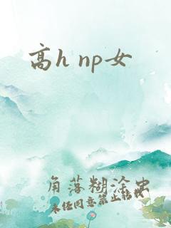 高h np女