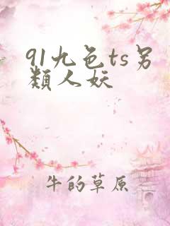 91九色ts另类人妖