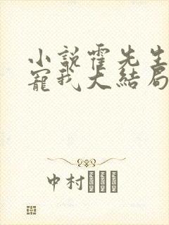 小说霍先生乖乖宠我大结局