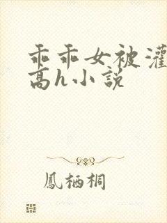 乖乖女被灌满精高h小说