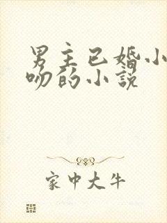 男主已婚小三激吻的小说