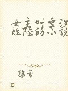 女主叫云汐男主姓陆的小说