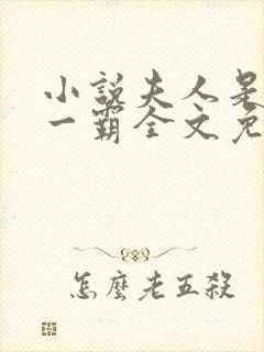 小说夫人是京城一霸全文免费阅读