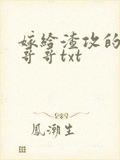 嫁给渣攻的反派哥哥txt