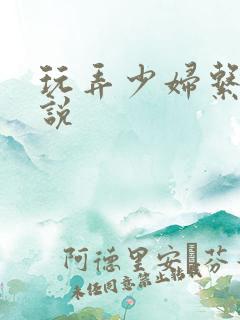 玩弄少妇系列小说