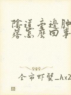 阴道旁边肿个疙瘩怎么回事