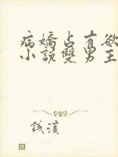 病娇占有欲强的小说双男主