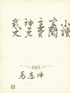 武神主宰小说全文免费阅读
