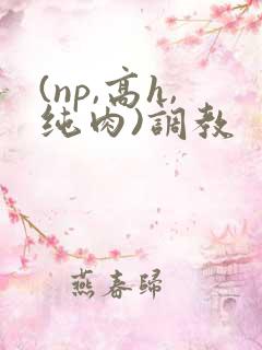 (np,高h,纯肉)调教