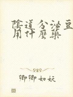 阴道分泌豆腐渣用什么药