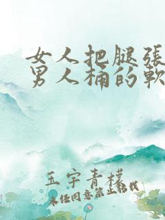 女人把腿张开让男人桶的软件