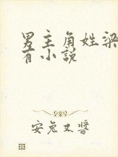 男主角姓梁的所有小说