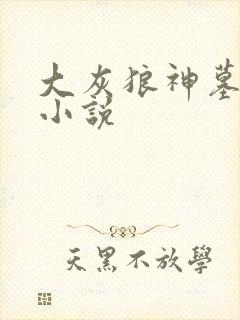 大灰狼神墓有声小说